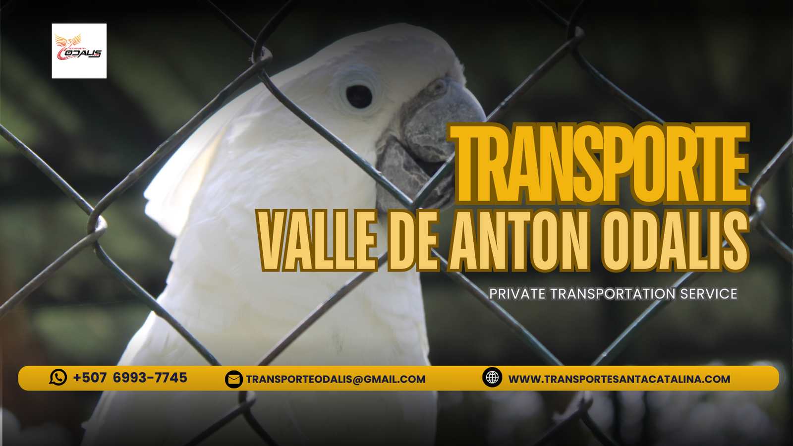 Yellow and Black Modern Logistic Company Presentation (4)